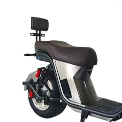 Bicicleta Elétrica 1.000W Primar Aro 10 HR9 Cinza