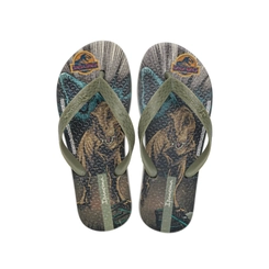 Chinelo Infantil Menino Ipanema Jurassic World II 27624 Bege/Verde