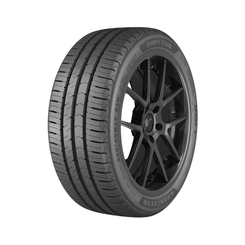 Pneu Aro 15 Goodyear 205/60R15 91H Direct SPO2