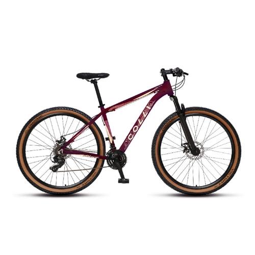 Indy Bike - Sua loja de bicicletas online - Bicicleta Road