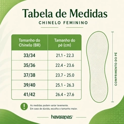 Chinelo Feminino Havaianas Slim Square 4148301 Preto