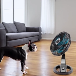 Ventilador de Mesa com 10 Pás 174W Britânia Maxx Force BVT491 Preto e Azul